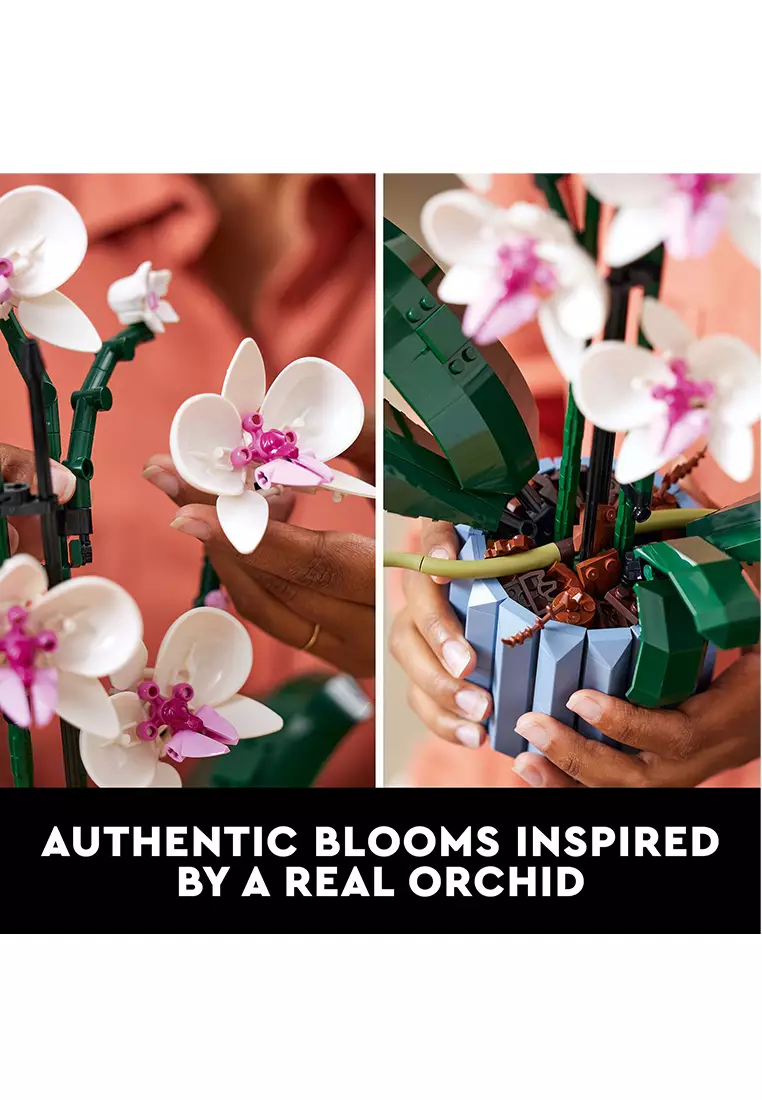 Icons 10311 Orchid, Age 18+, Building Blocks, 2022 (608pcs)