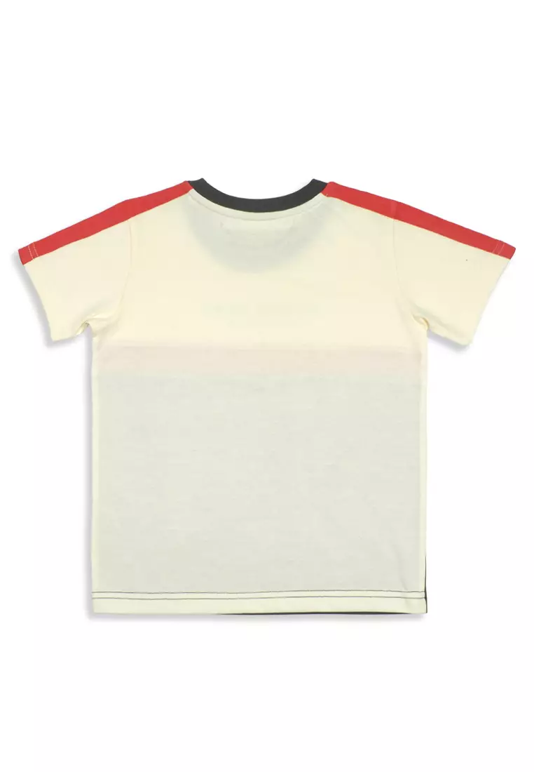 Boys T-Shirt With Print Details