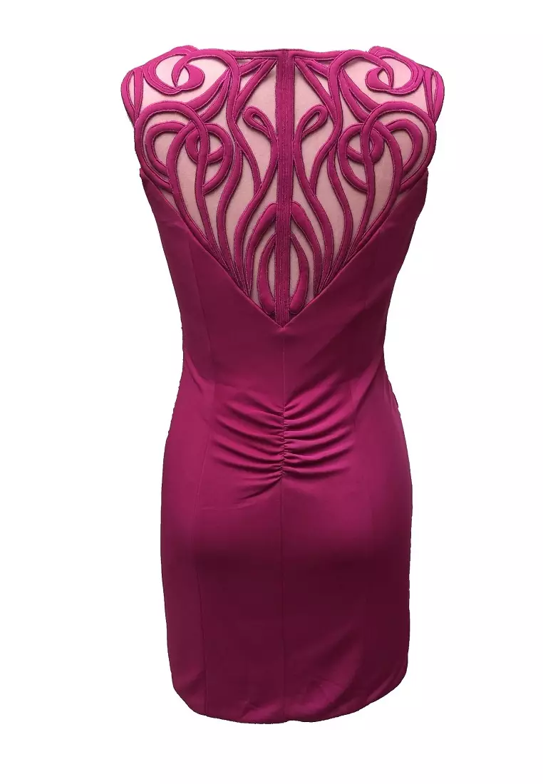 Elegant Sheer Embroidery Ruched Party Dress