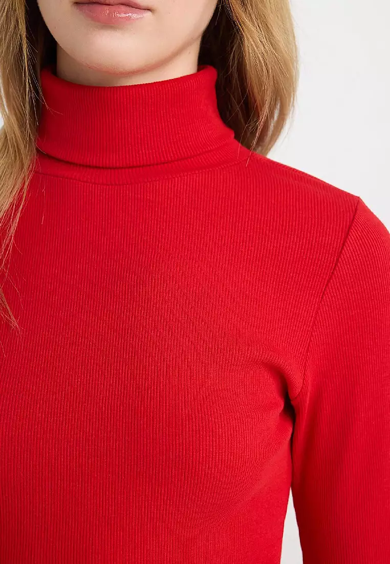 Crop Turtleneck Top