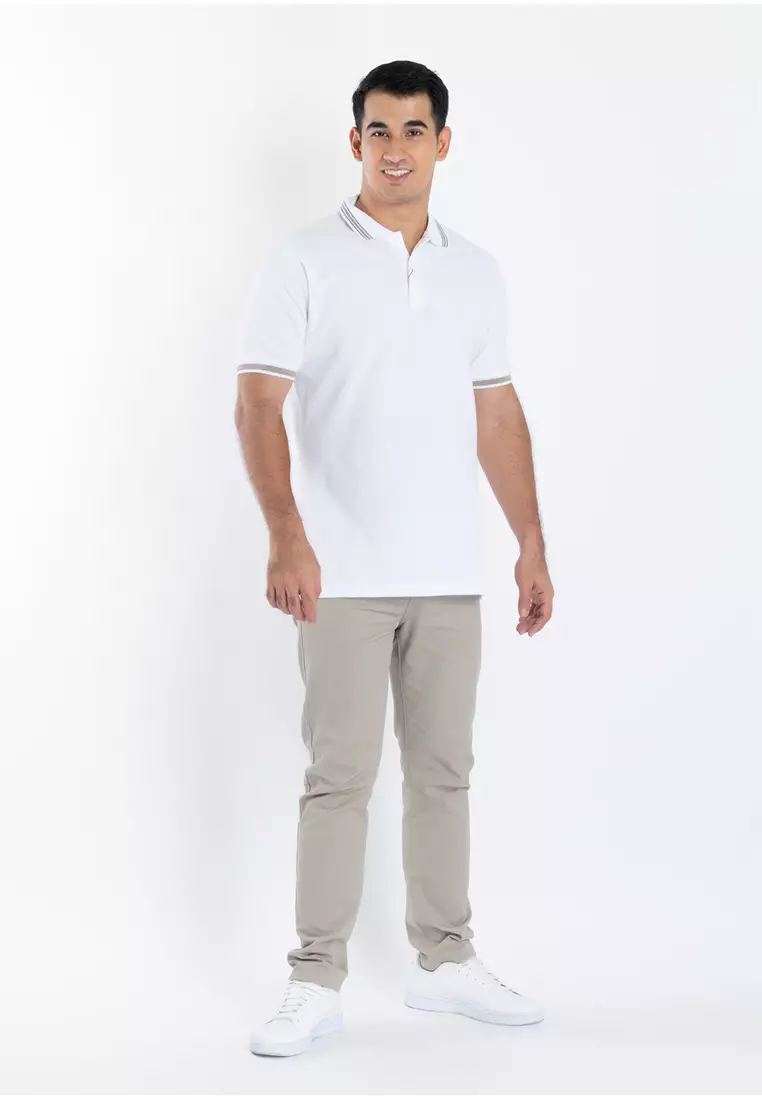 Regular Fit Cotton Polo Shirt With Flat Knit Contrast Trim