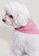 OXGN pink Generations Pet Bandana With Embro 49953ES477FB3CGS_2