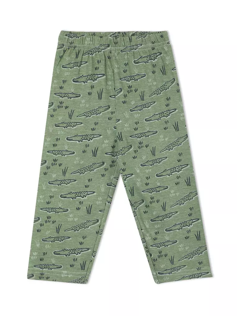 Baby and Kids Pajama Nightsuit Set- The Alligator