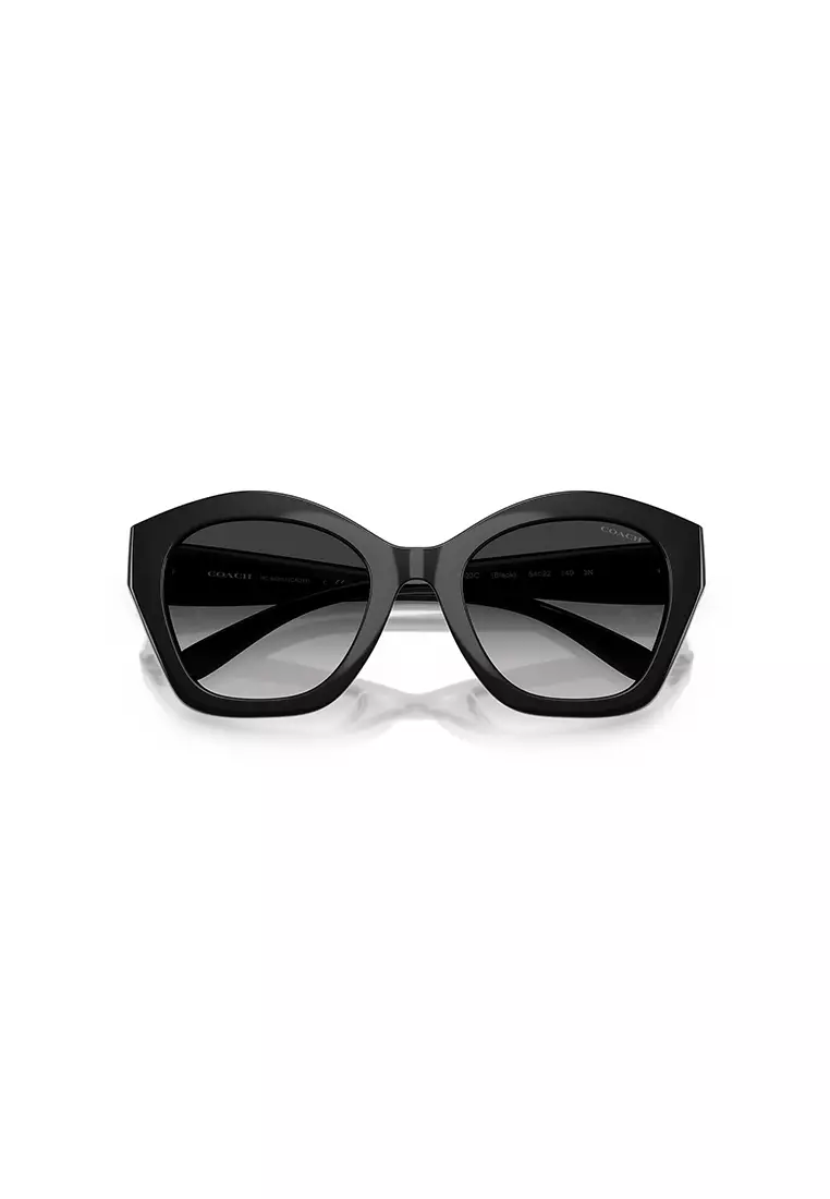 Women's Irregular Frame Black Injected Sunglasses - HC8421U