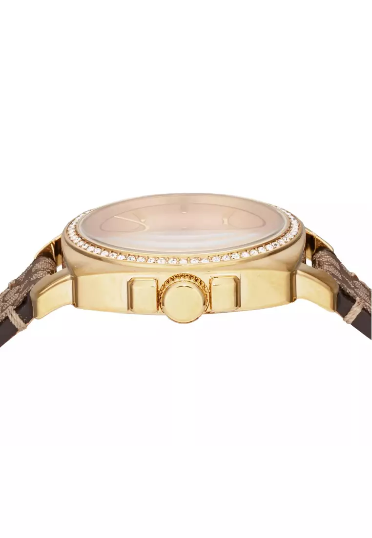 Women's Watch In Brown With Gold 14000091