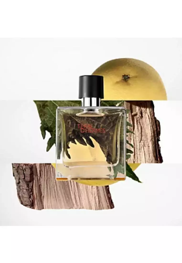 Buy Hermès Hermes Terre d'Hermès Eau De Toilette Natural Spray for