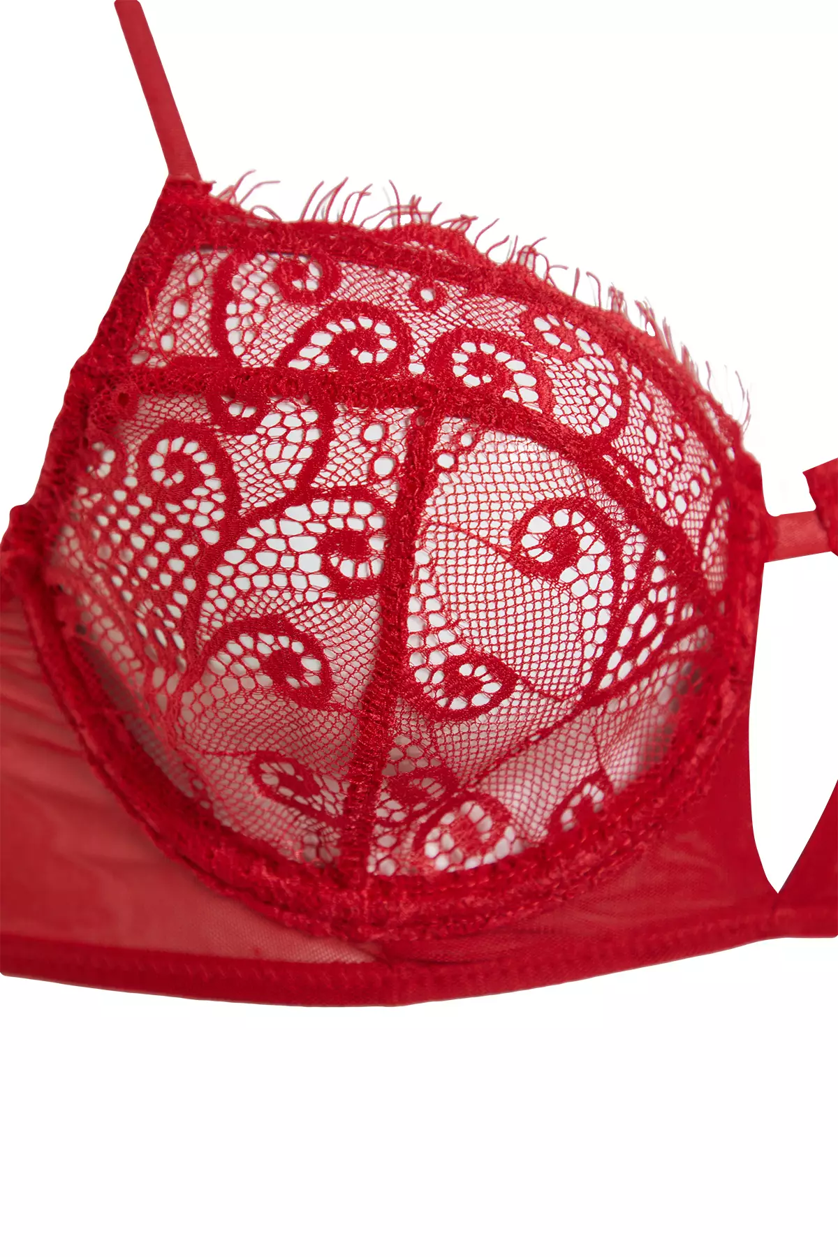 Mesh Balconette Bra & Thong Panties Set