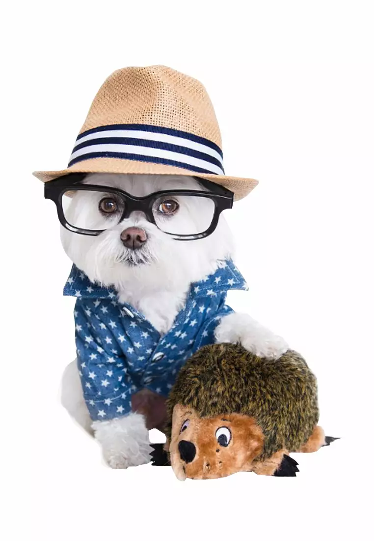 Buy Outward Hound Hedgehogz Dog Toy Small 2024 Online ZALORA Philippines