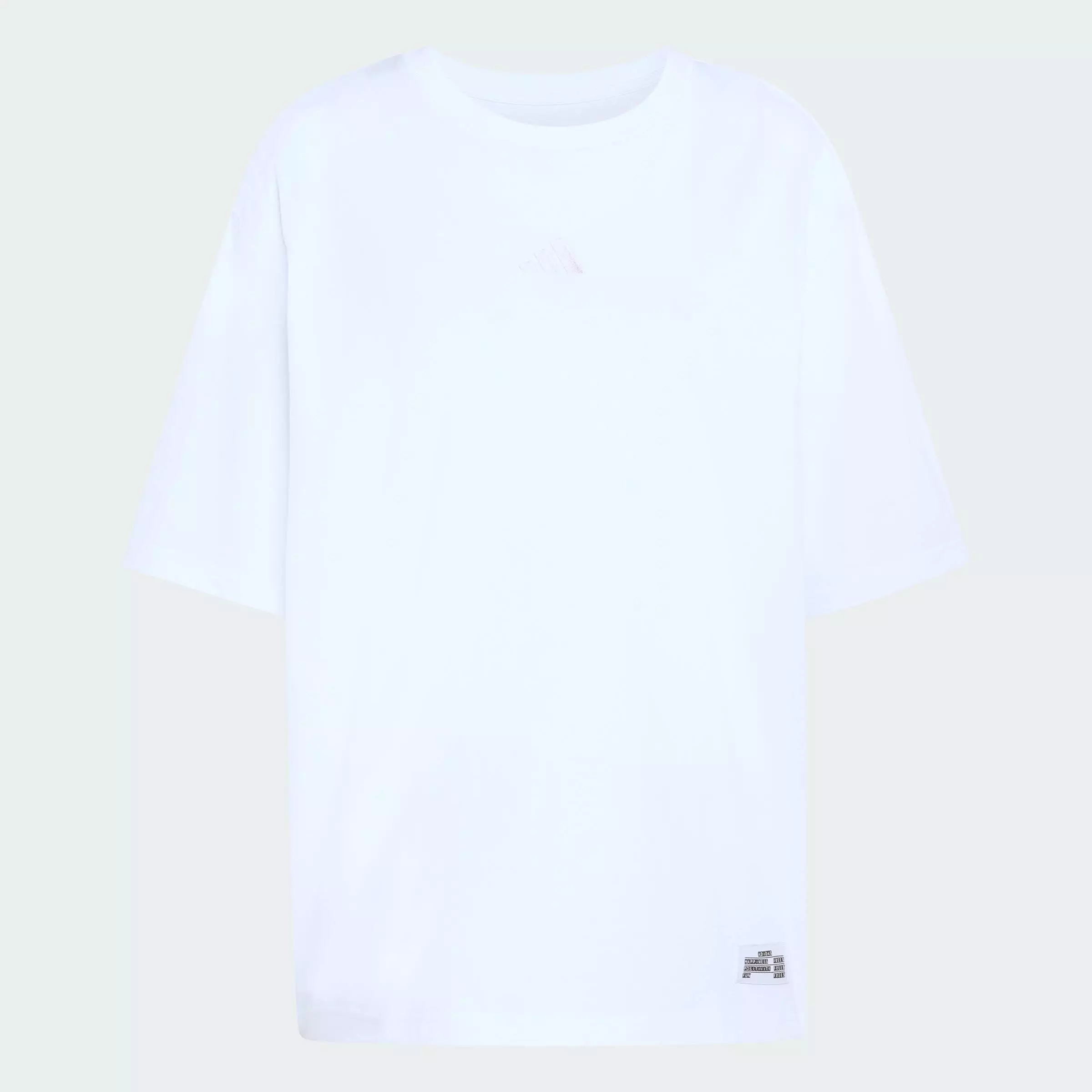 Lifestyle MINI EMBROIDERY OVERSIZED GRAPHIC T-SHIRT Women White KA5086