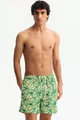 Green Medium