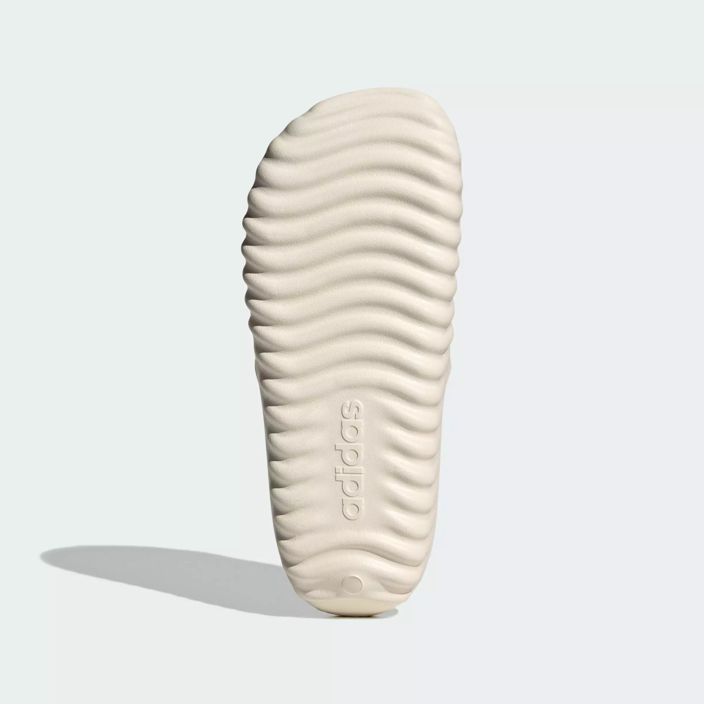 Adissage 360Rec Slides