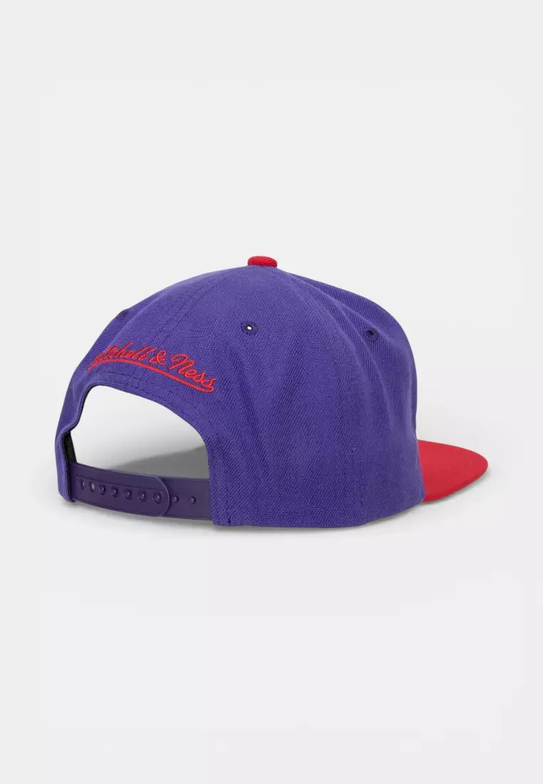 Toronto Raptors Team 2 Tone 2.0 Snapback Cap
