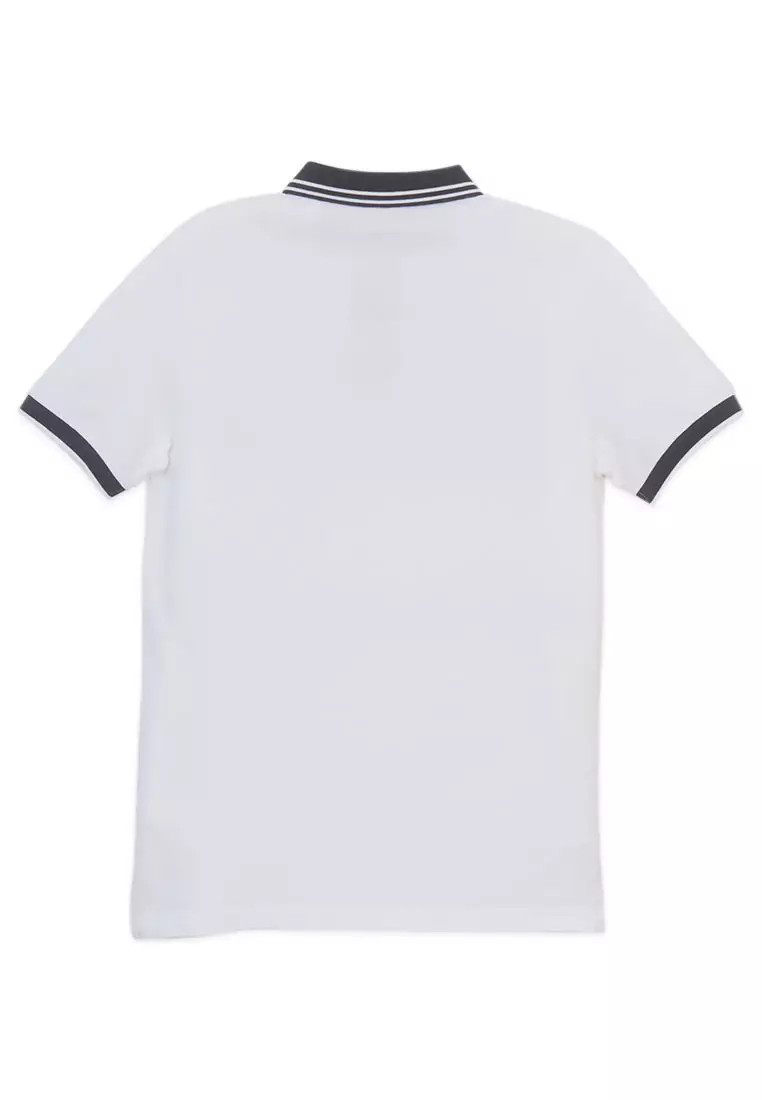 Men's Cotton Lycra Pique Flat Knit Collar Short Sleeve Bold Polo