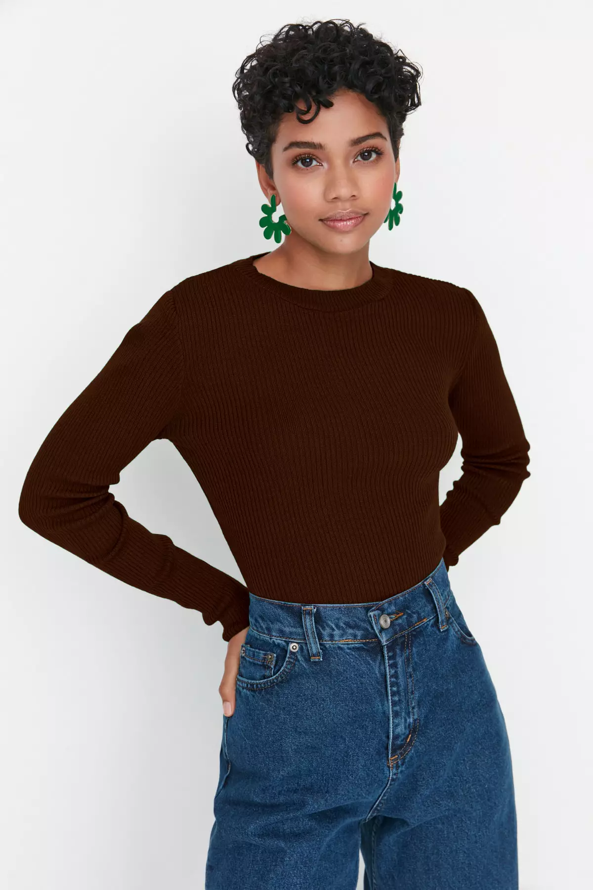 Brown Basic Ribbed Knit Sweater