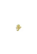 916/22K Gold - Li