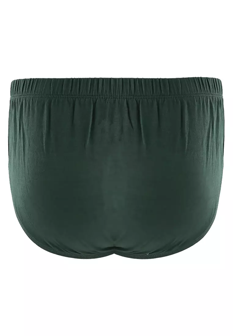 Cover Brief Peppermint