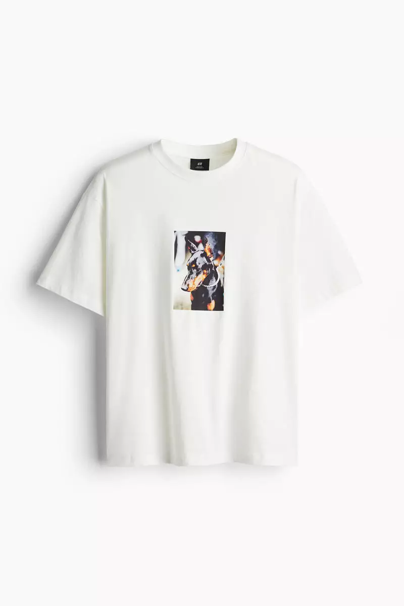 Buy H&M Loose Fit Printed T-shirt 2025 Online | ZALORA