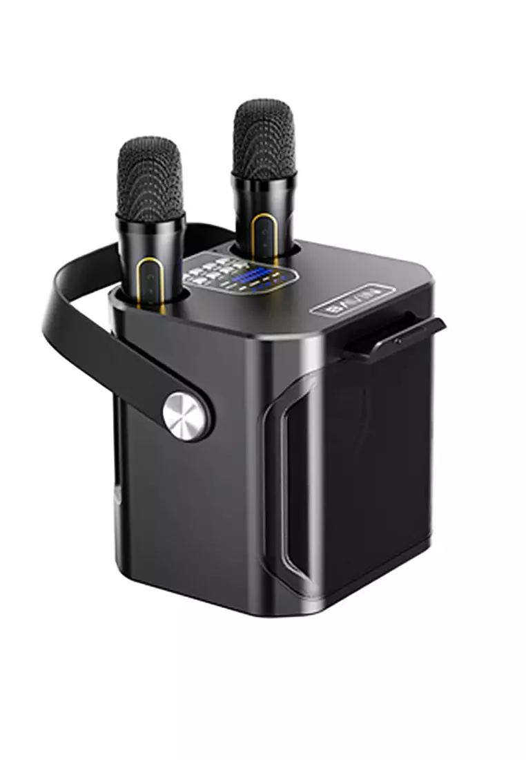 Buy BAVIN BM20 Professional Karaoke Bluetooth 5.0V Portable Speaker