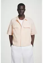APRICOT