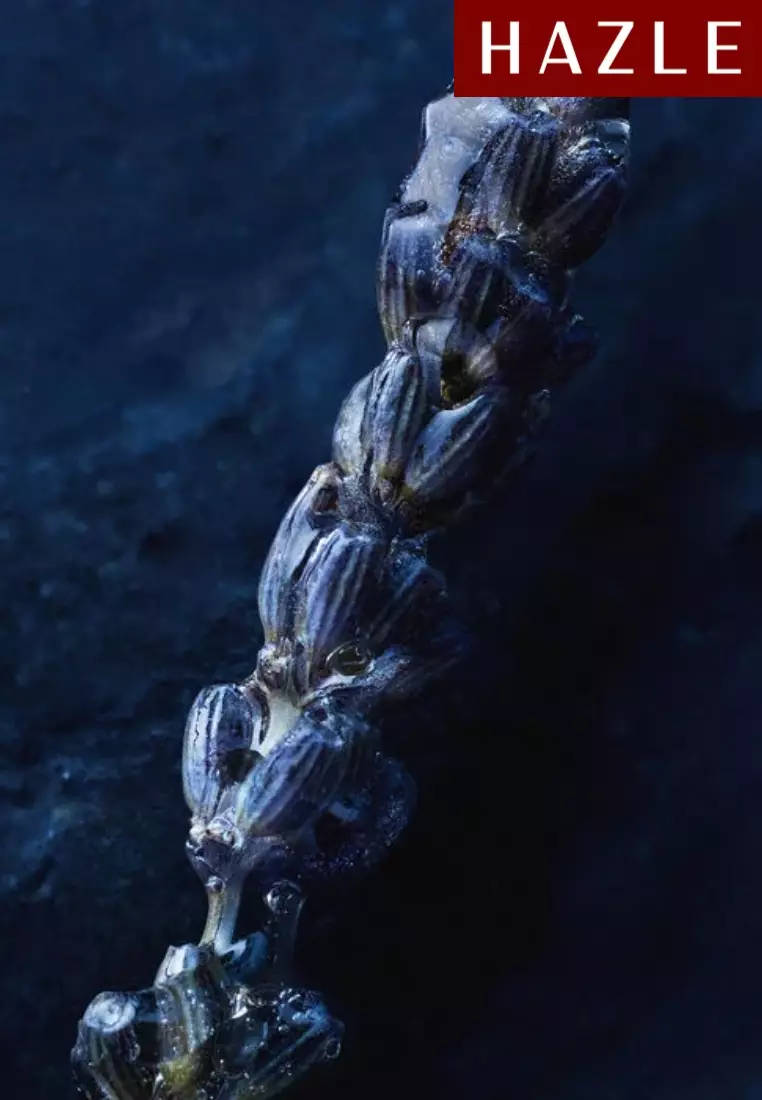 Sauvage Man Eau Forte 100 ml