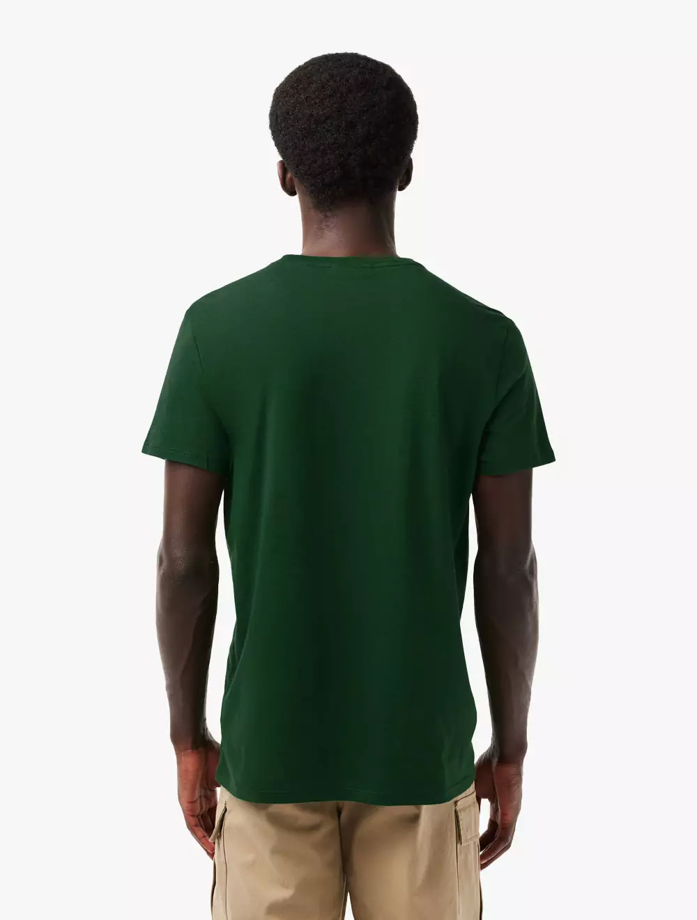 Regular Fit Pima Cotton Jersey T-shirt - Green