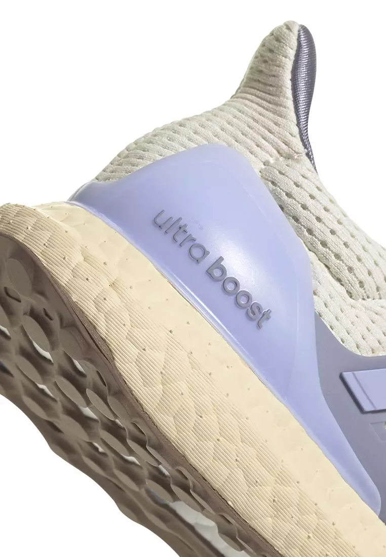 Ultraboost 1.0 Shoes