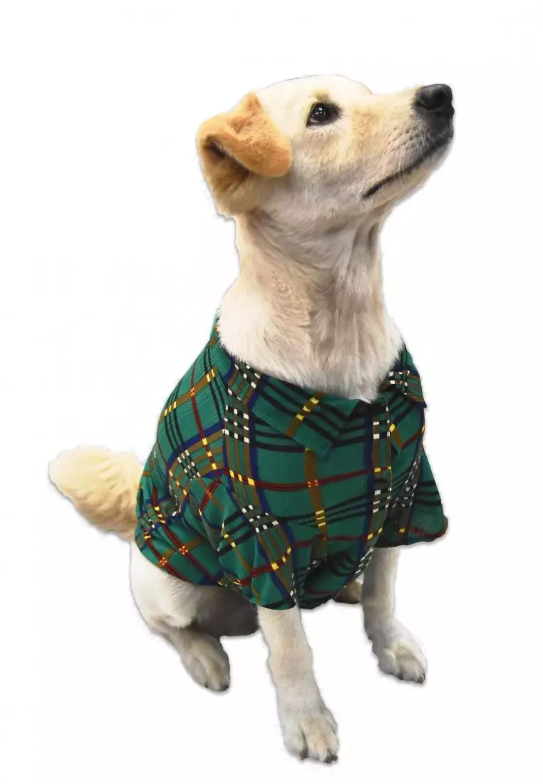 Plaid deals dog shirt