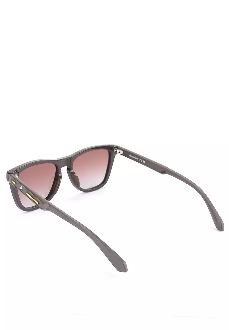 Virsor Sunglasses