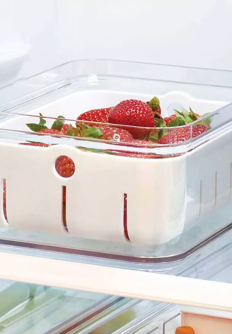 Buy MakeRoom RPET Crisp Berry Bin Clear 2024 Online ZALORA Philippines