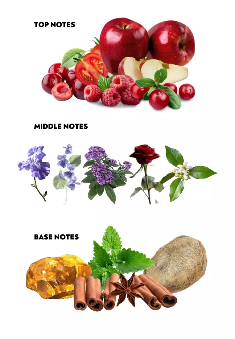 Buy Chantal Thomass Chantal Thomass Pink Women EDP 100ml [YC895] Online ...