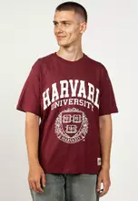 Maroon Banner