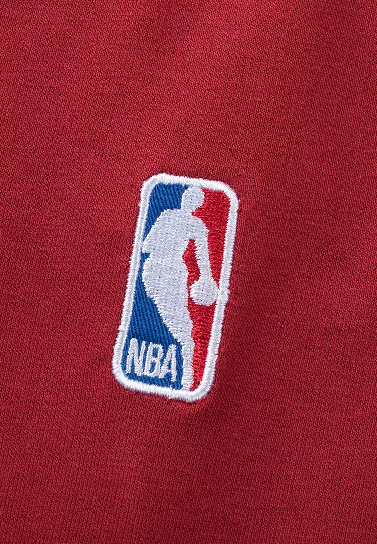 Miami Heat Pullover Hoodies for Men Regular Fit Puff Print Logo Drops Collection