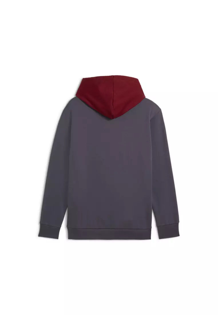 PUMA POWER Men's Fleece Hoodie