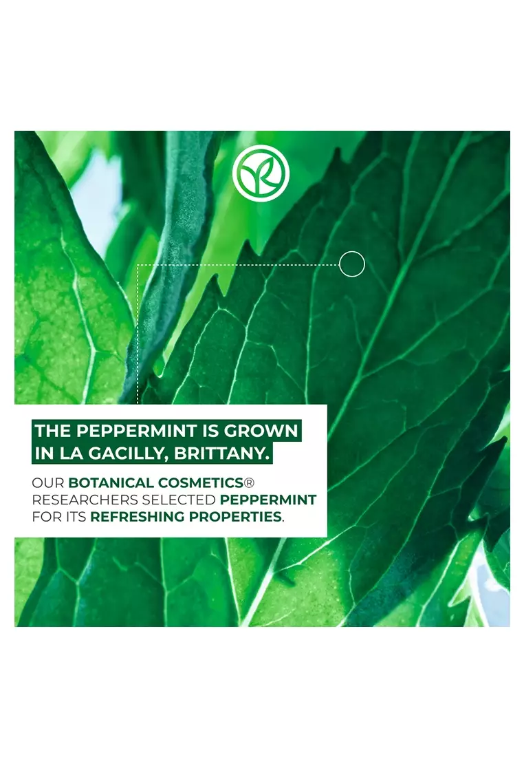 Pure Menthe Purifying Cleansing Gel with Organic Peppermint - 125ml Removes Excess Sebum