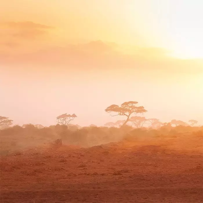 Yves Rocher La Collection Sable Fauve EDP 100 ml New