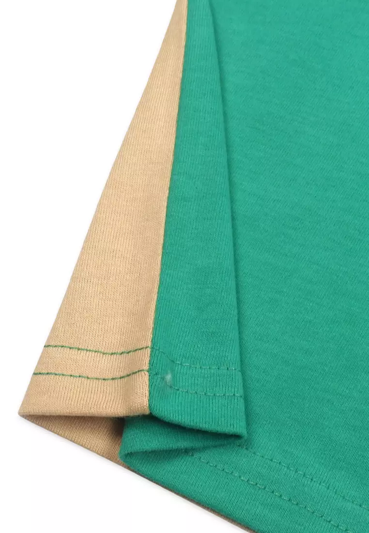 Boys T-Shirt With Short Set