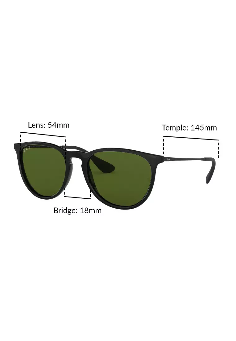 【Ray】 Buy Ray-Ban Erika / RB4171F 601/2P / Women Full Fitting