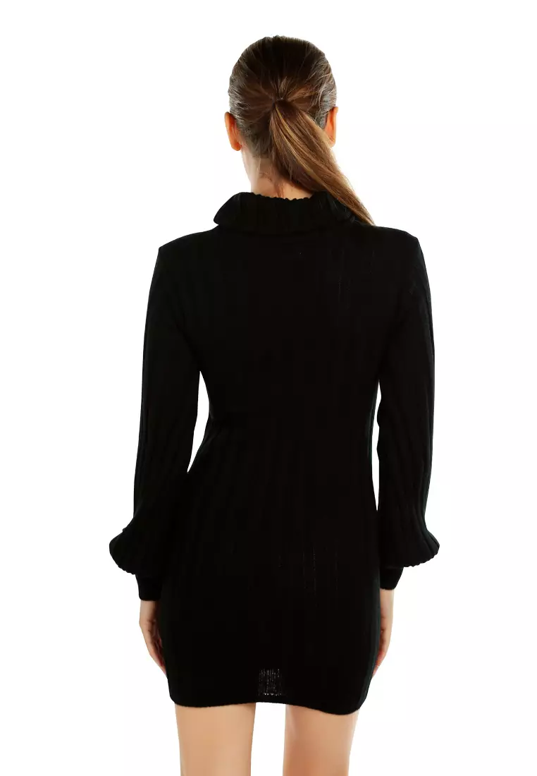 Roll Neck Bodycon Mini Dress In Black