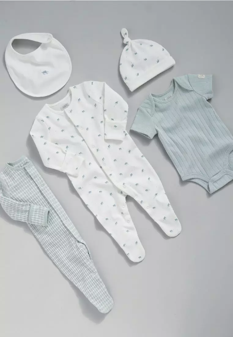 Baby Turtle Set - 5 Piece