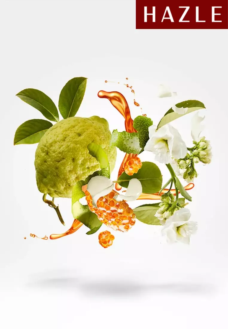 XJ 1861 Naxos Unisex EDP 100 ml