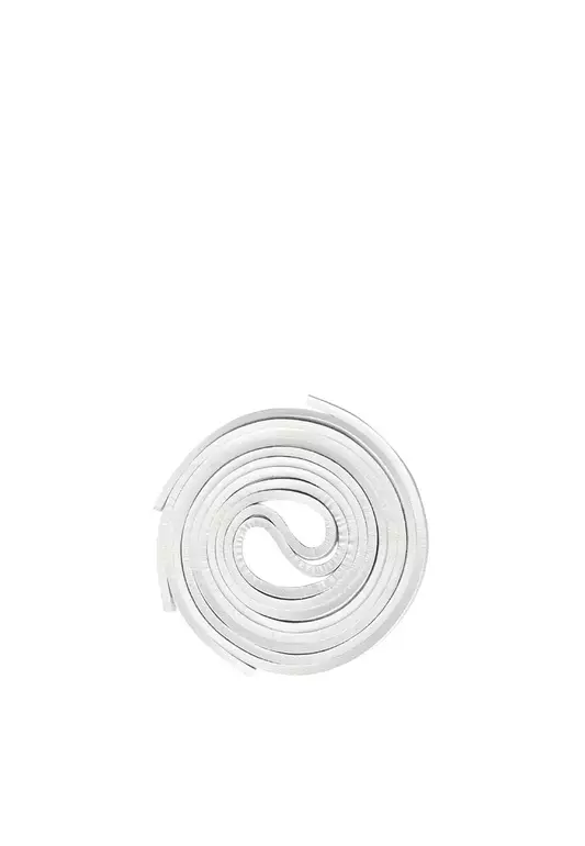 Shoelace