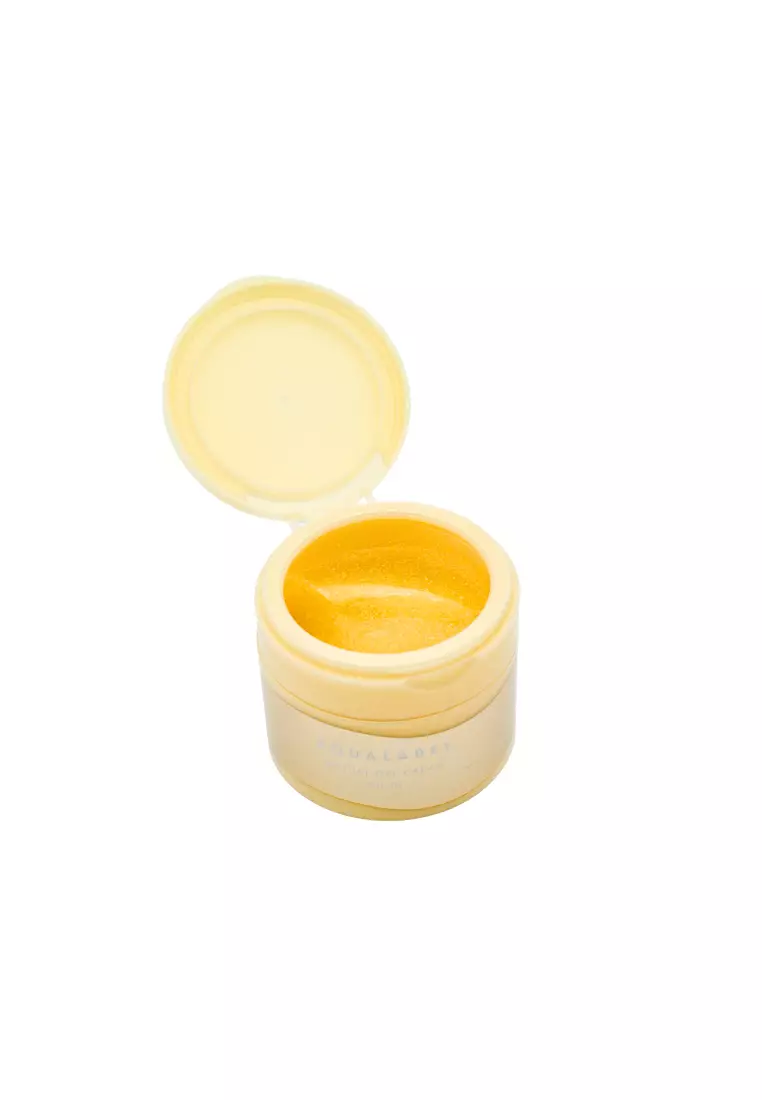 Shiseido 五合一抗衰老特潤面霜(含油) (90克)