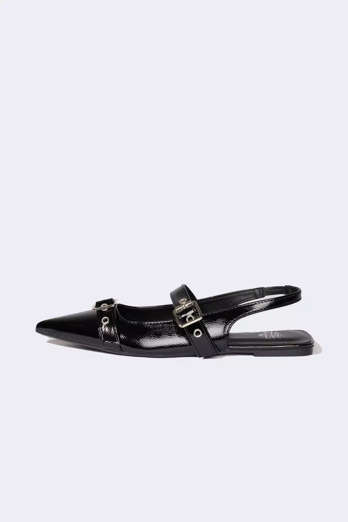 Women's Flat Sole Faux Leather Ballerina Shoes D8965Ax25Sm