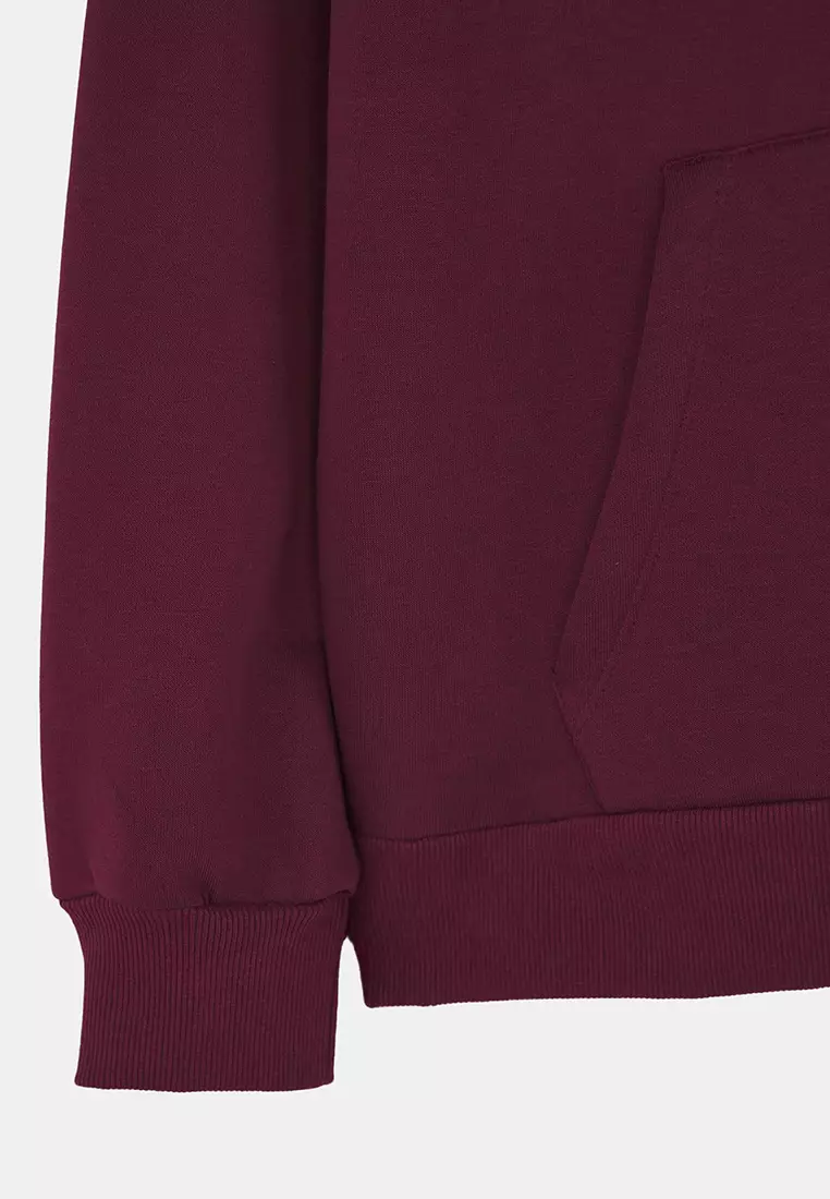 Plum Thick Polar Fleece Oversize/Wide Pattern Hooded Basic Knitted Sweatshirt Twoaw24Sw00103