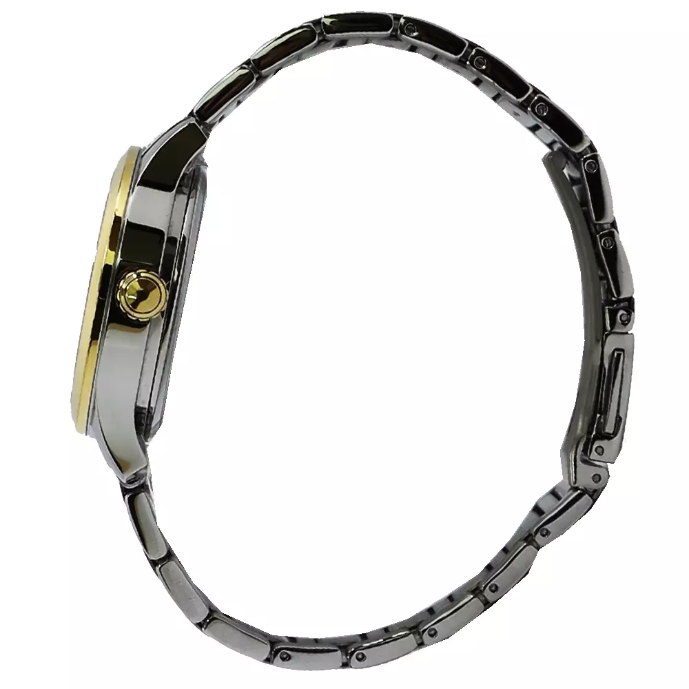 Festina Casual Women's Watches FES F20489/1