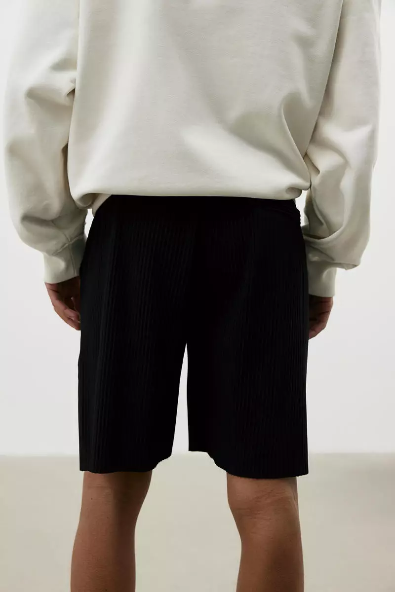 関税/送料込★Rest&Recreation★RR PLEATED SHORTS Buy H&M Regular Fit Pleated shorts 2025 Online | ZALORA
