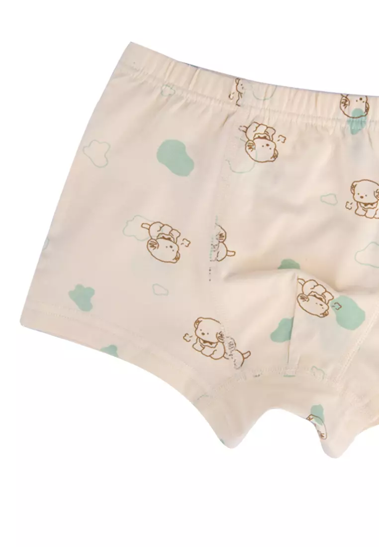 Move Avery Boxer Briefs Underwear For Boys