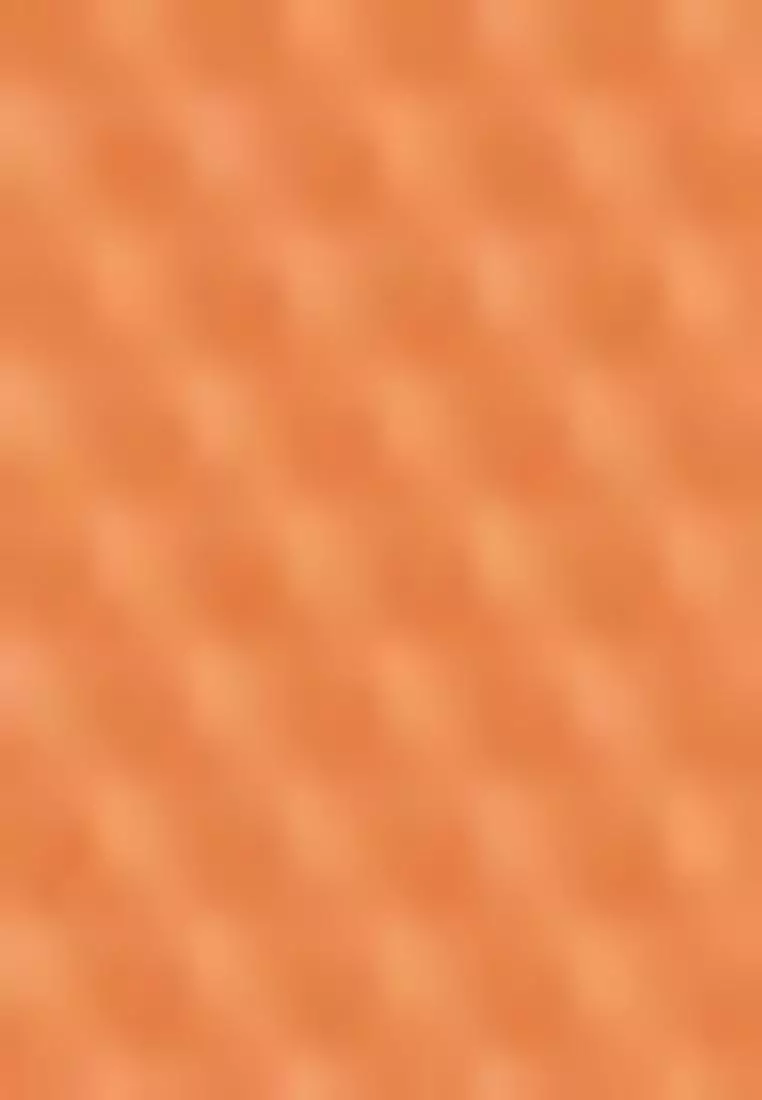 Small L.12.12 Concept Tote