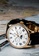 WULF 黑色 Wulf Lycan Gold and Black Leather Watch 25F5CAC483C1B8GS_3
