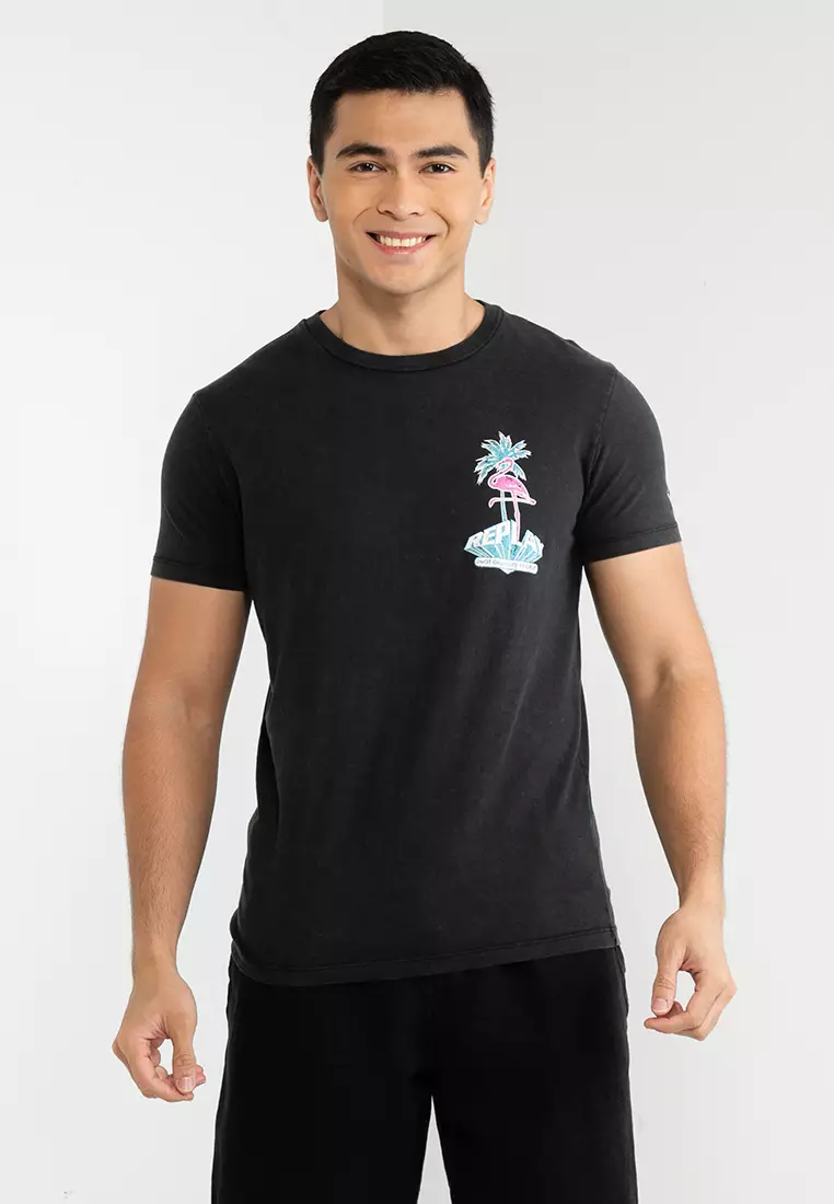 Hollister flamingo shirt online